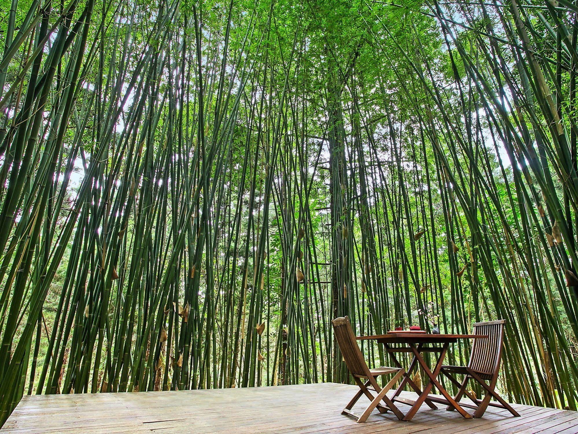 Azabu Retreat & Spa Byron Bay Exterior photo